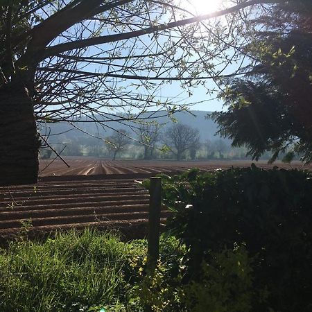 Dee'S Cottage At Brinsop เฮริฟอร์ด ภายนอก รูปภาพ
